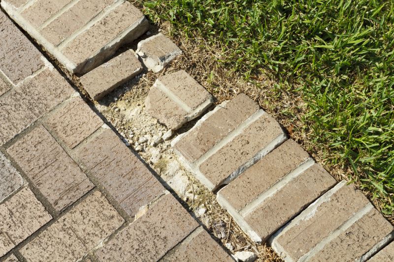Brick Driveway Repair in Marin County, CA