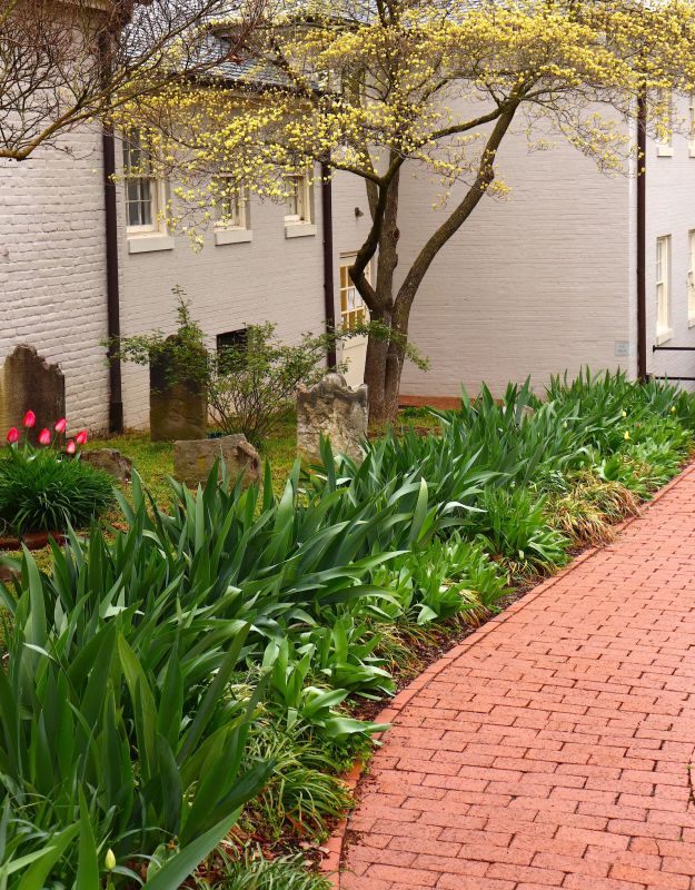 Brick Pathway Repair in Marin County, CA