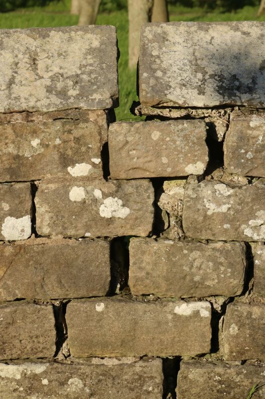 Stone Wall Repair in San Francisco County, CA